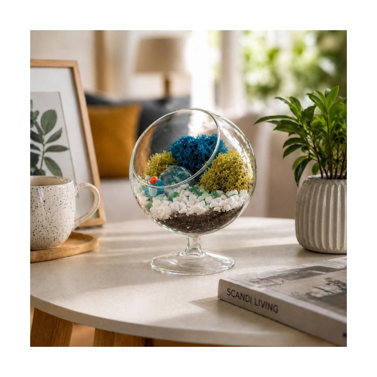 Creations by Nathalie DIY 6" Chalice Terrarium Kit Build Your Own Glass Terrarium for Adults & Teens, DIY Terrarium Kit
