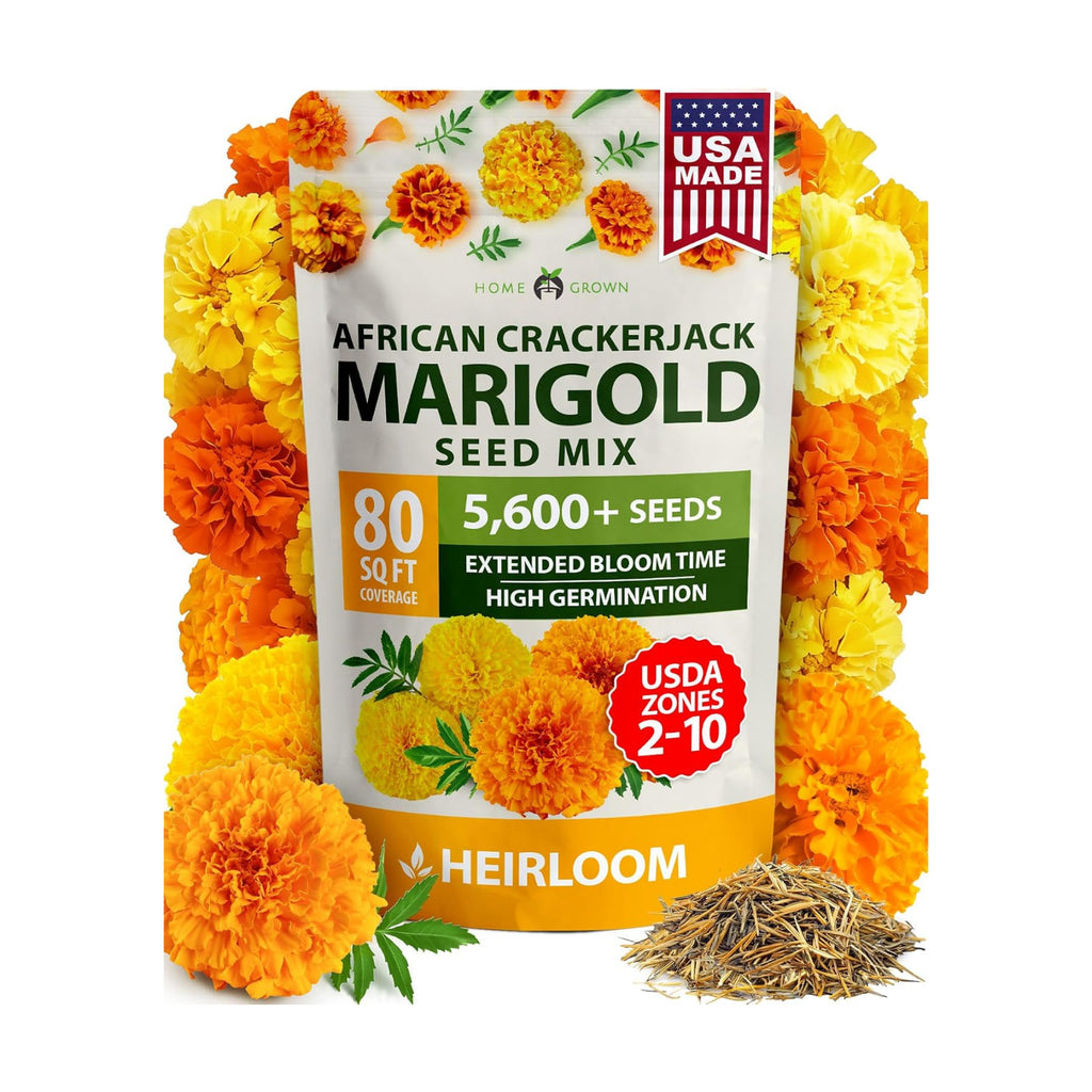 HOME GROWN Crackerjack African Marigold Seeds, 5,600+ Seeds, Tagetes erecta