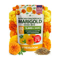 HOME GROWN Crackerjack African Marigold Seeds, 5,600+ Seeds, Tagetes erecta