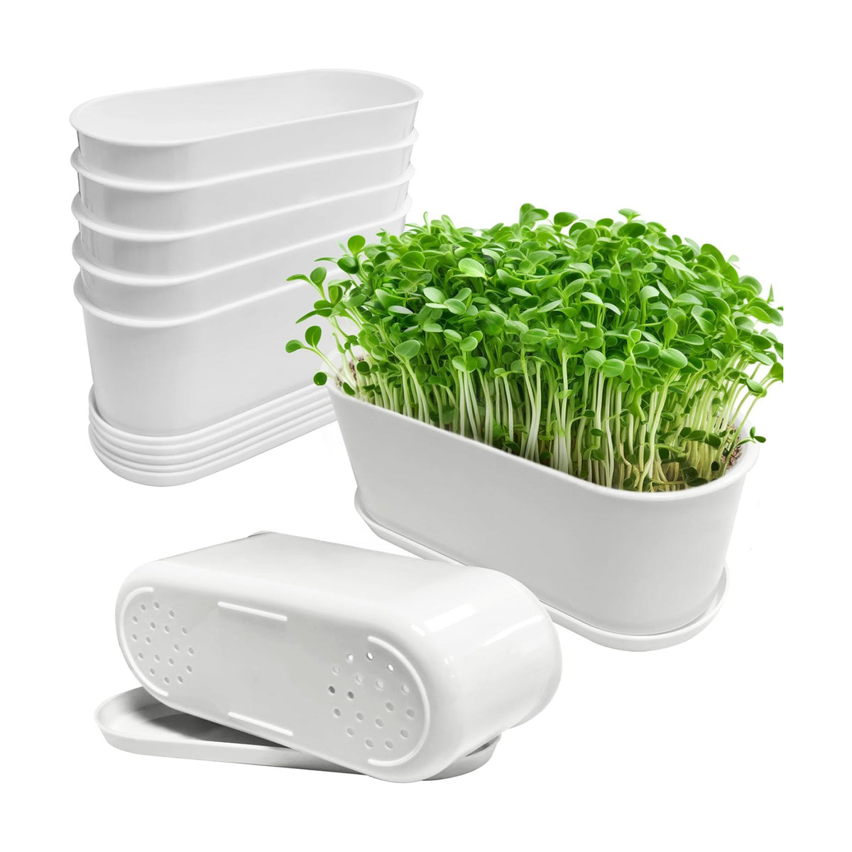 5 Set Window Herb Planter Box Rectangular,8.5x3.5 Inch White Plastic Planters with Multiple Drainage Holes and Trays,Indoor Succulent Cactus Mint Flower Pot for Windowsill,Garden Balcony