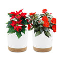 QCQHDU 6.5 inch Plant Pot, 2 Pack Planters for Indoor Plants with Drainage Holes & Saucer, Outdoor Flower Pots Home Garden Modern Decor