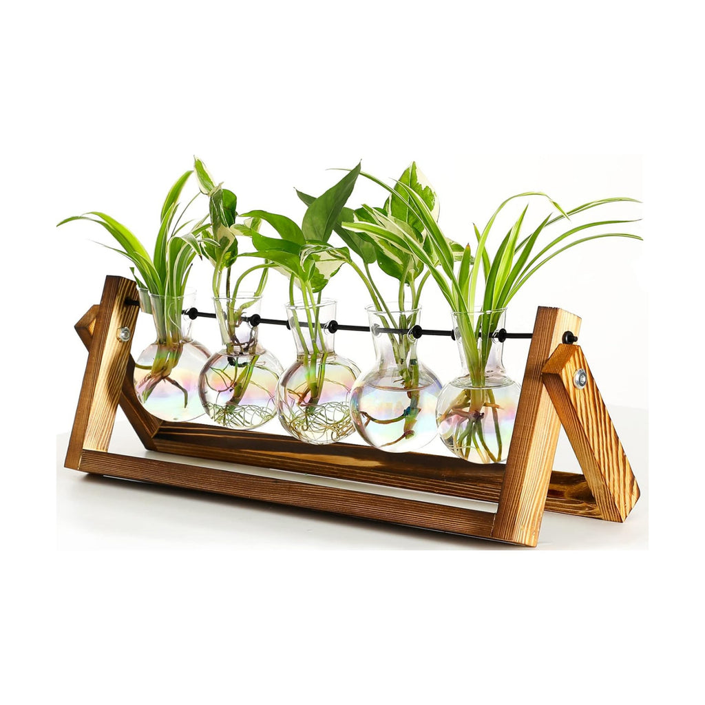 XXXFLOWER Plant Terrarium with Wooden Stand Desk Plant 5 Bulb Vase | Terrarium Kit Glass Propagation Vases Tabletop