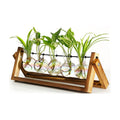 XXXFLOWER Plant Terrarium with Wooden Stand Desk Plant 5 Bulb Vase | Terrarium Kit Glass Propagation Vases Tabletop