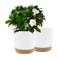 QCQHDU 10 inch Plant Pot, 2 Pack Planters for Indoor Plants with Drainage Holes & Saucer, Outdoor Flower Pots Home
