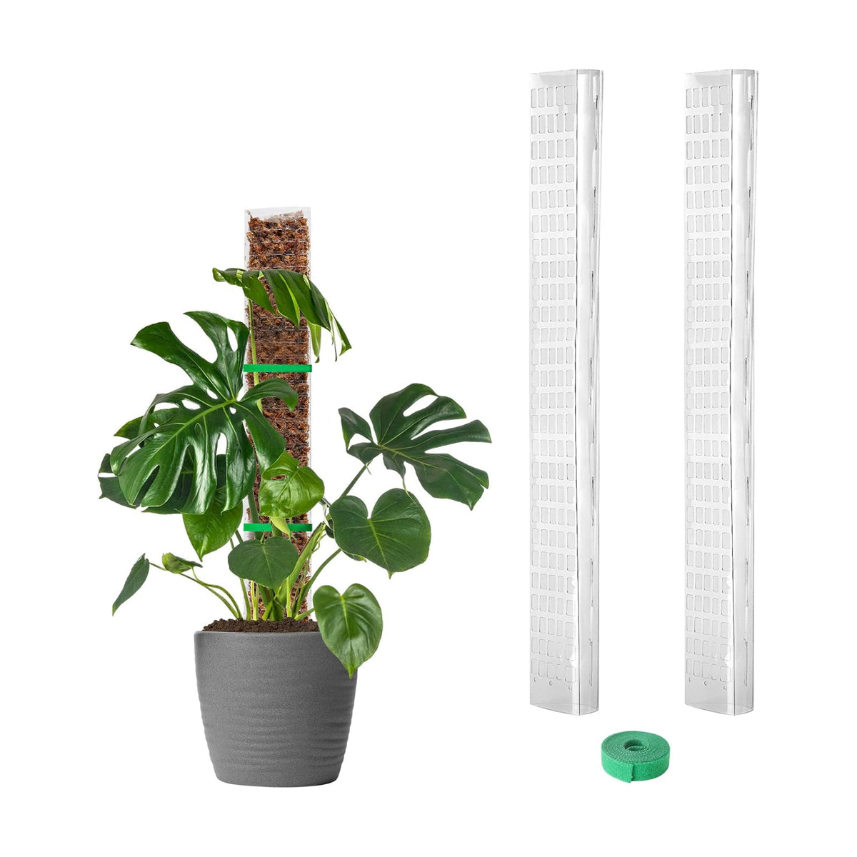 EOX Plastic Moss Pole for Monstera and Climbing Plants, 24-Inch, 2-Pack