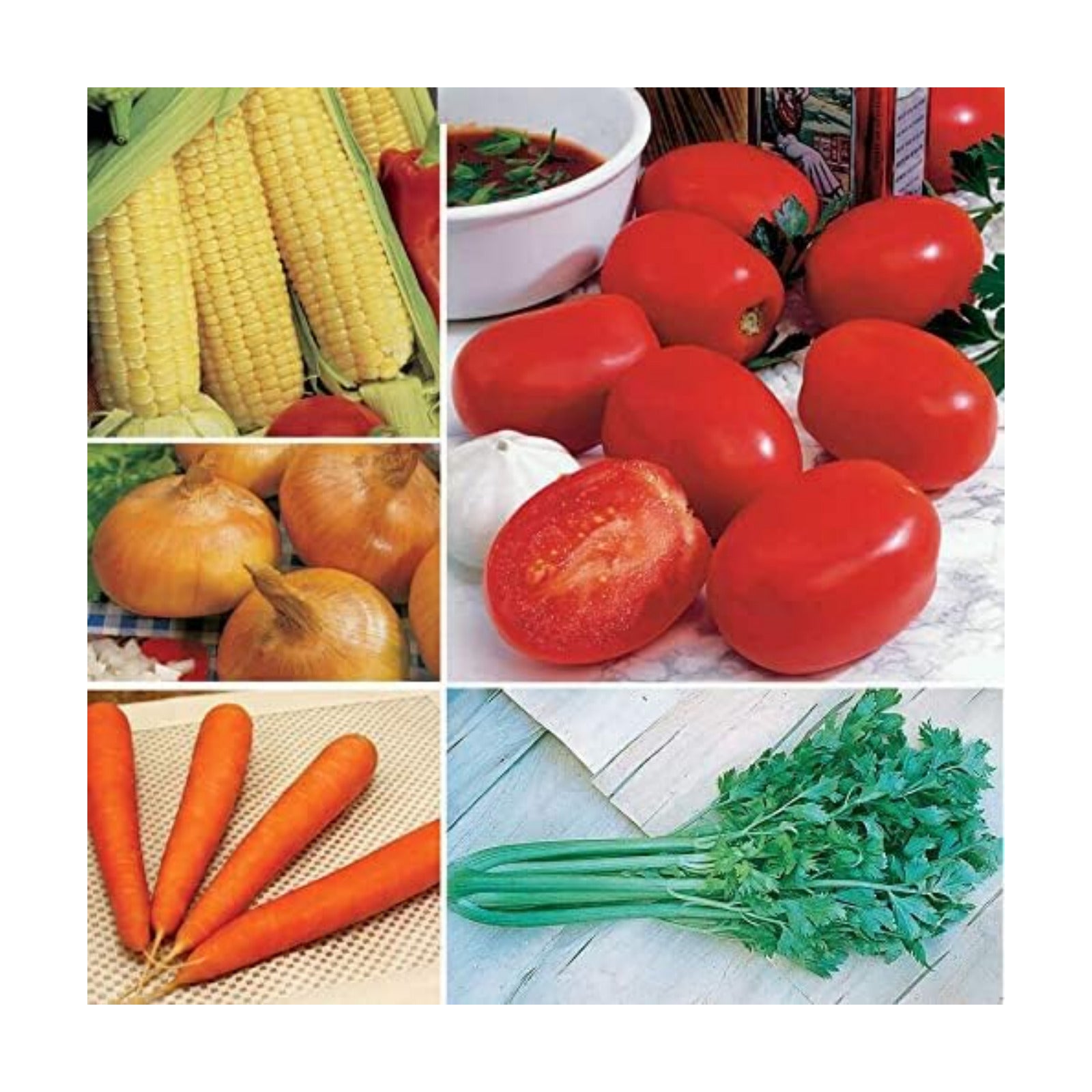 Park Seed Ultimate Vegetable Soup Seed Collection – Non-GMO Heirloom Garden Kit with Onion, Carrot, Celery, Roma Tomato