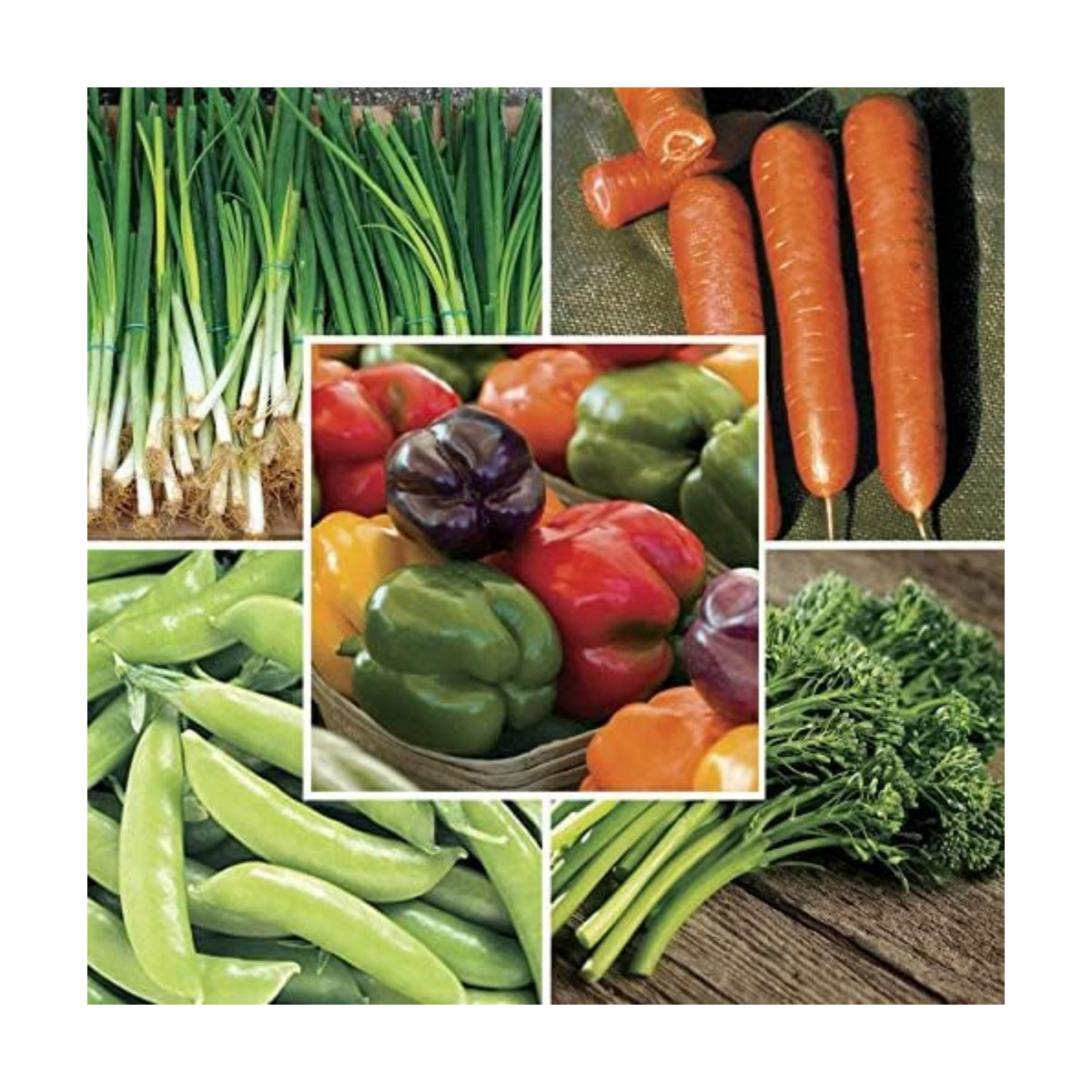 Park Seed Stir Fry Vegetable Seed Collection – Non-GMO Garden Kit with Broccoli, Snap Peas, Carrots, Sweet Peppers &