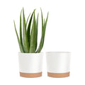 kubvici Plant Pots for Indoor Plants, 2 Pack 10 Inch Plant Pot Plastic Flower Pots Planters with Drainage Saucer for
