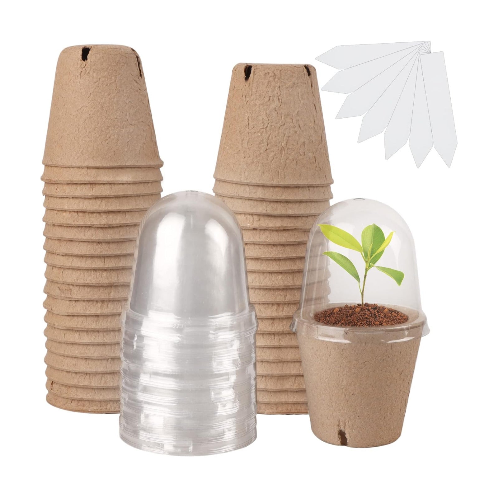 winemana 36 Set Plant Nursery Pots with Humidity Dome, Seed Starter Biodegradable Peat Pots, Seedlings Planting Pots