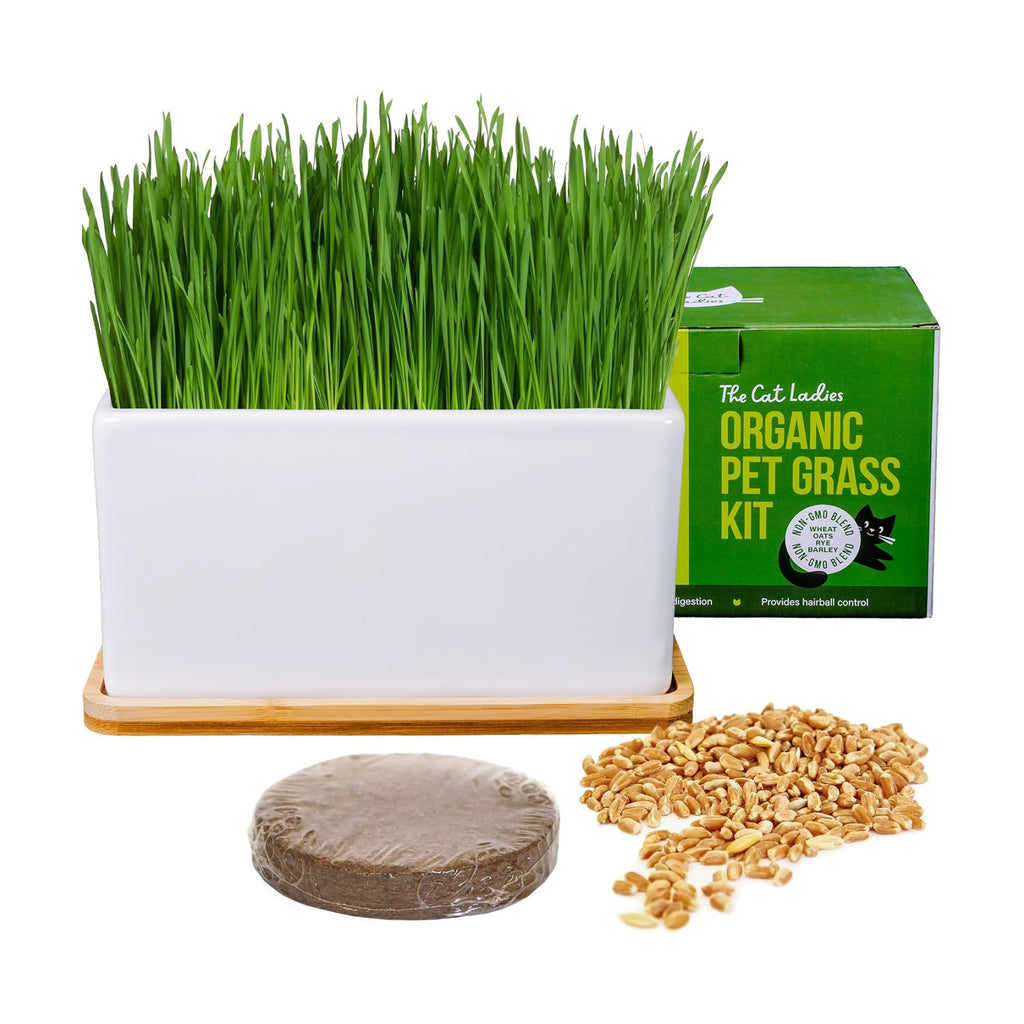 The Cat Ladies Organic Cat Grass Growing kit with Organic Seed Mix, Soil and Ceramic Planter with Bamboo Tray. Natural