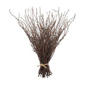 Uieke 50PCS Birch Twigs – 17 Inch Natural Dried Plants Decorative Birch Branches for DIY Crafts, Birch Sticks for Vases Wedding Arrangements Home Wreath Decor