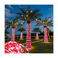 Honche Solar Rope Light 33FT 100L Outdoor Candy Cane Rope Lights Weatherproof for Terrace Tree Fence Patio Garden Yard Home Wedding Birthday Vacation Holiday Christmas Decor(Candy)