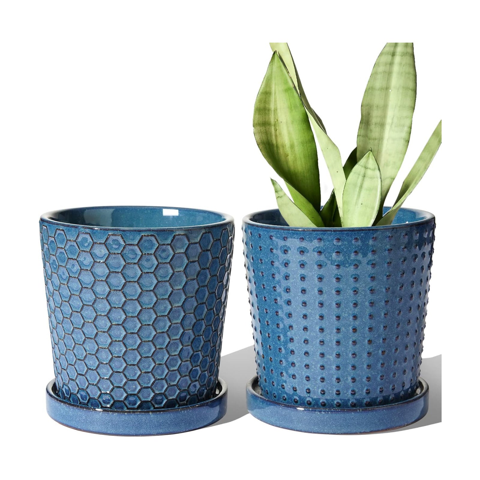 LE TAUCI Ceramic Pots for Plants, 5.5 Inch Plant Pots with Drainage and Saucer, Indoor Plant Pots for Succulents, Snake