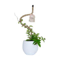 Bendable Coir Pole for Climbing Plants, Sturdy, 30 in | Shapeable Steel Core Wrapped in Natural Manila, Monstera