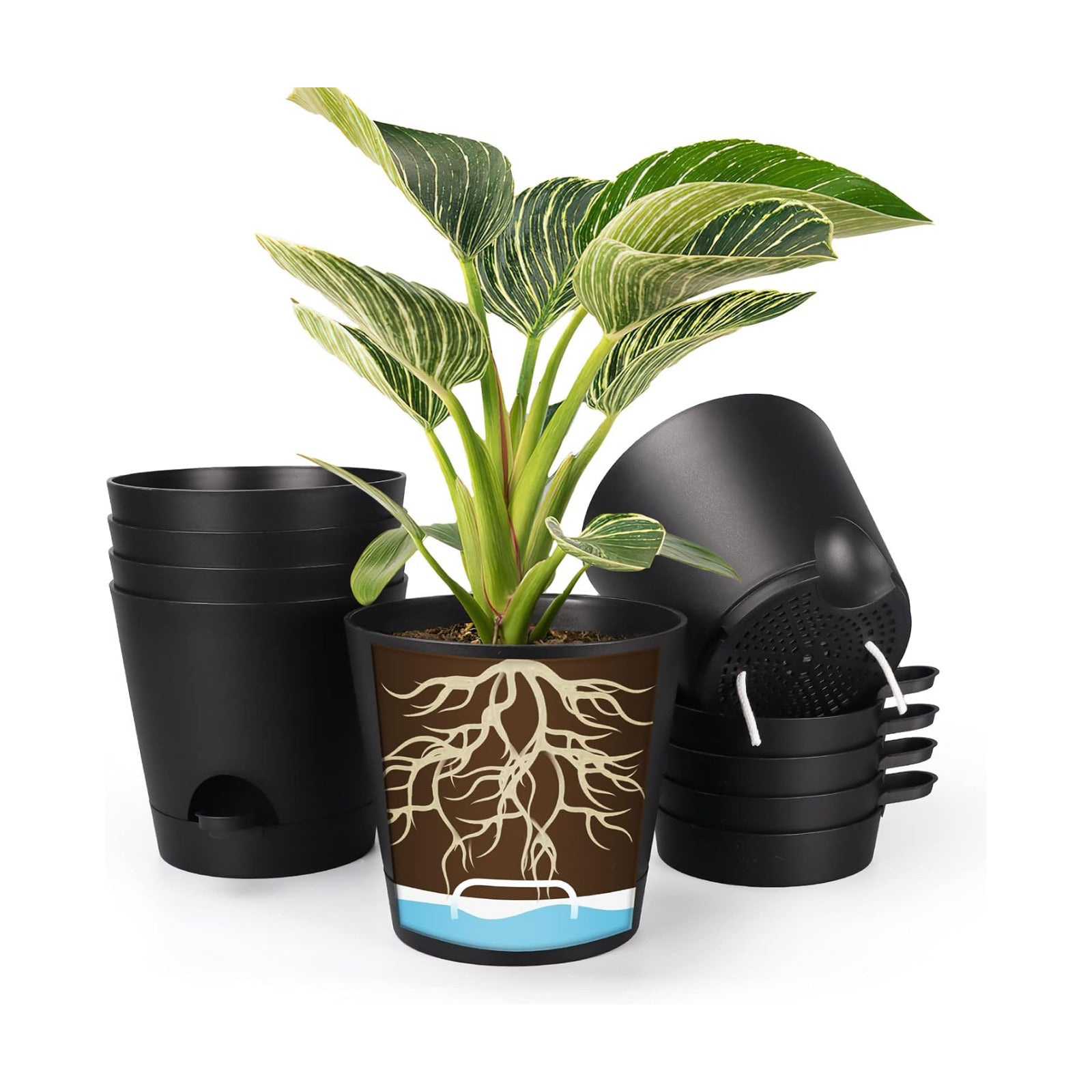 8 Inch Self Watering pots for Indoor, 6 Pack Plastic Plant Pots with Drainage Holes, Black