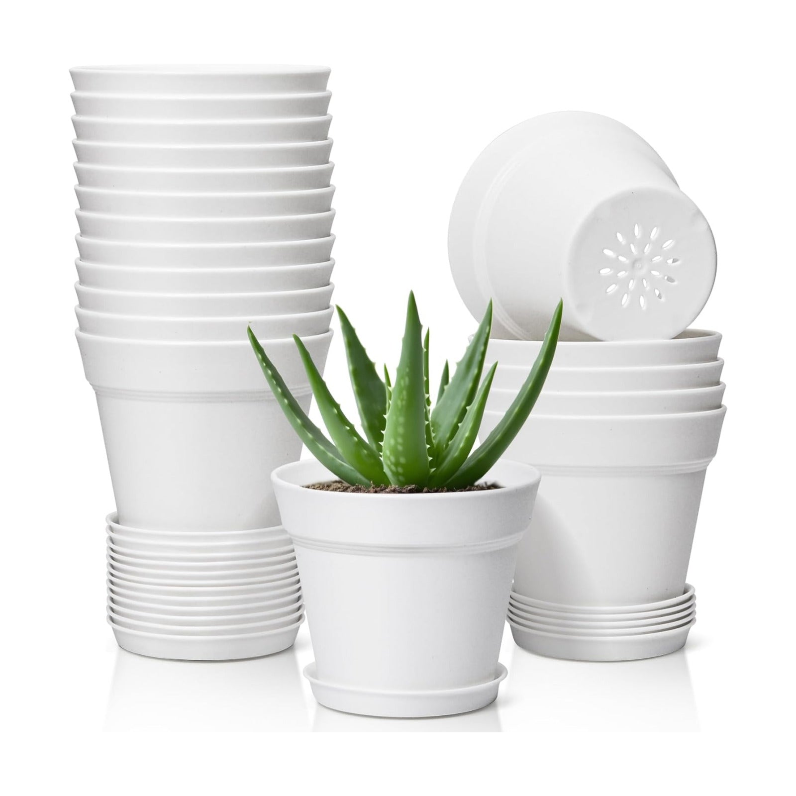 T4U Small Plant Pots 5 Inch 18 Pack, Plastic Flower Pots with Saucer White | Nursery containers for succulents cactus