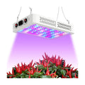 TATU 1000w LED Grow Light for Indoor Plants, Full Spectrum Plant Light | Growing Lamp for Hydroponic Indoor Plant Veg