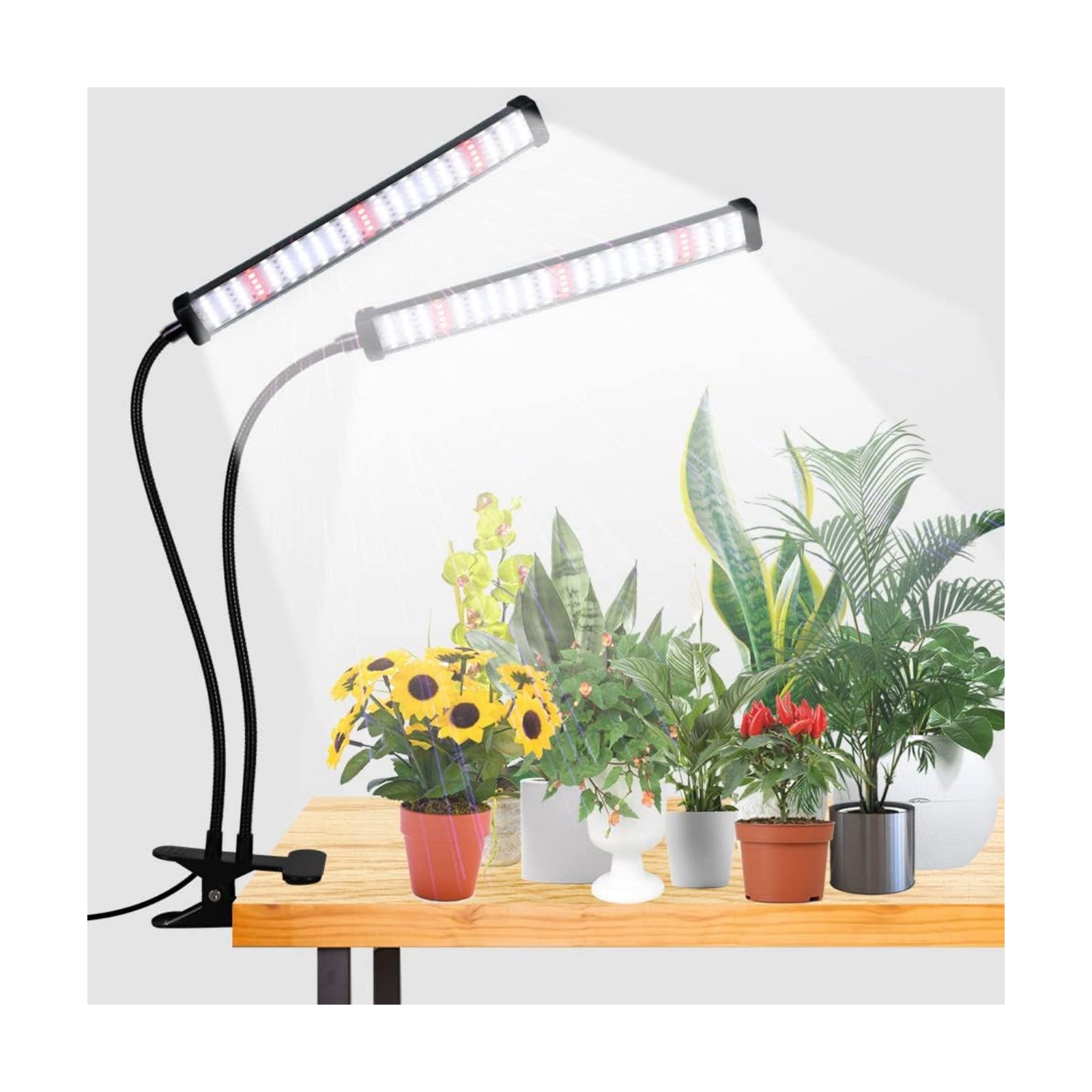 Grow Light 100W 6000K, Super Bright White Desktop Clip Plant Lamp | Desk Lamp for Pot Seedlings Succulents Seeds Indoor