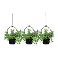 Gardzen 3 Packs Hanging Pots for Plants Outdoor & Indoor, Black Hanging Planter, Pot Hangers for Plant Flower