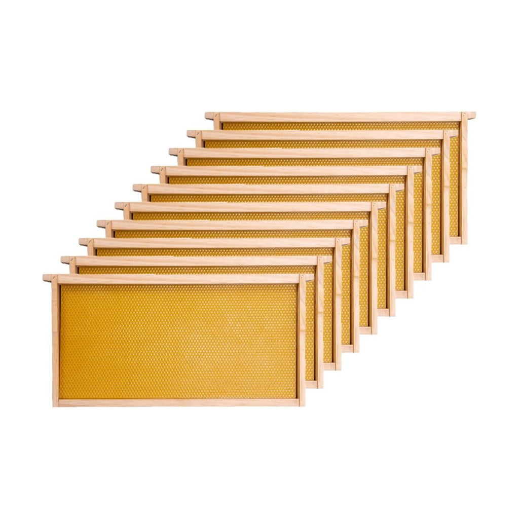 Honey Lake Deep Beehive Frames and Foundations Kit, 10 Pack Brood Wooden Frames and Natural Beeswax Dipped Plastic
