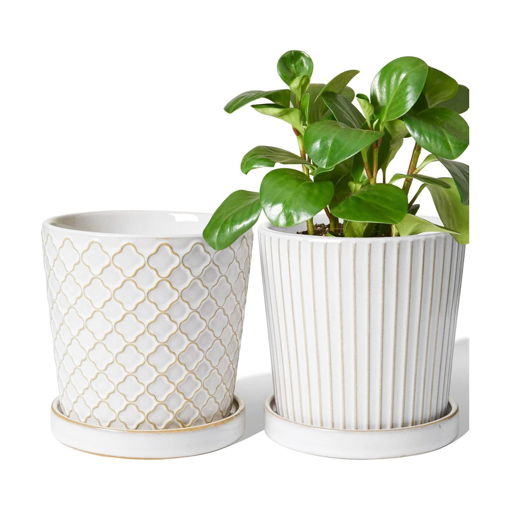 LE TAUCI Ceramic Pots for Plants, 5.4 Inch Plant Pots with Drainage Hole and Saucer, Indoor Plant Pots for Succulent