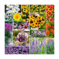 Eden Brothers Northeast All Perennial Wildflower Mixed Seeds, 1/4 lb | Mixed Seeds for Planting, 120,000+ Seeds with