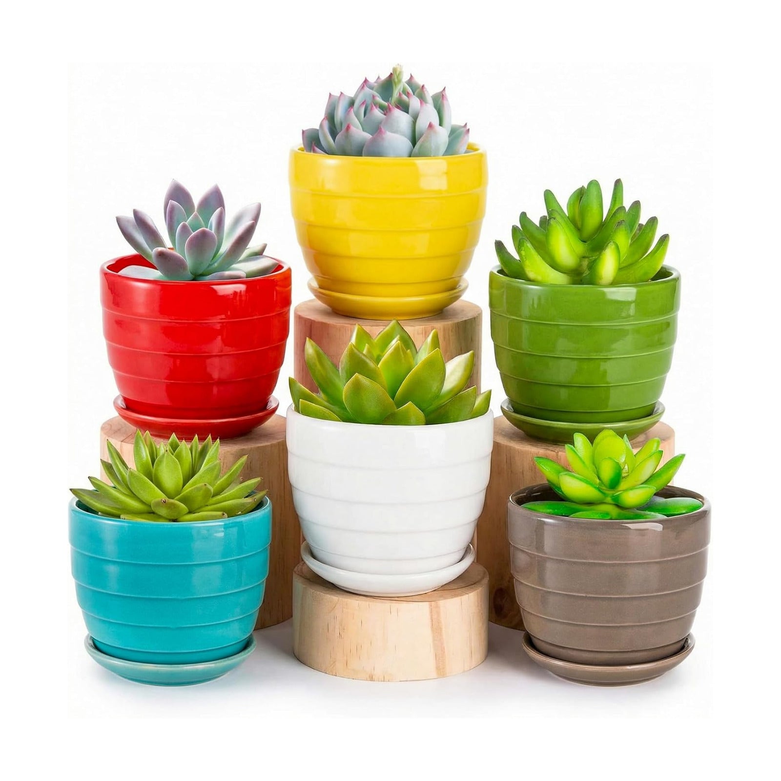 Elsjoy 6 Pack 4.3 Inch Ceramic Succulent Pots with Drainage and Attached Saucer, Small Decorative Succulent Planter