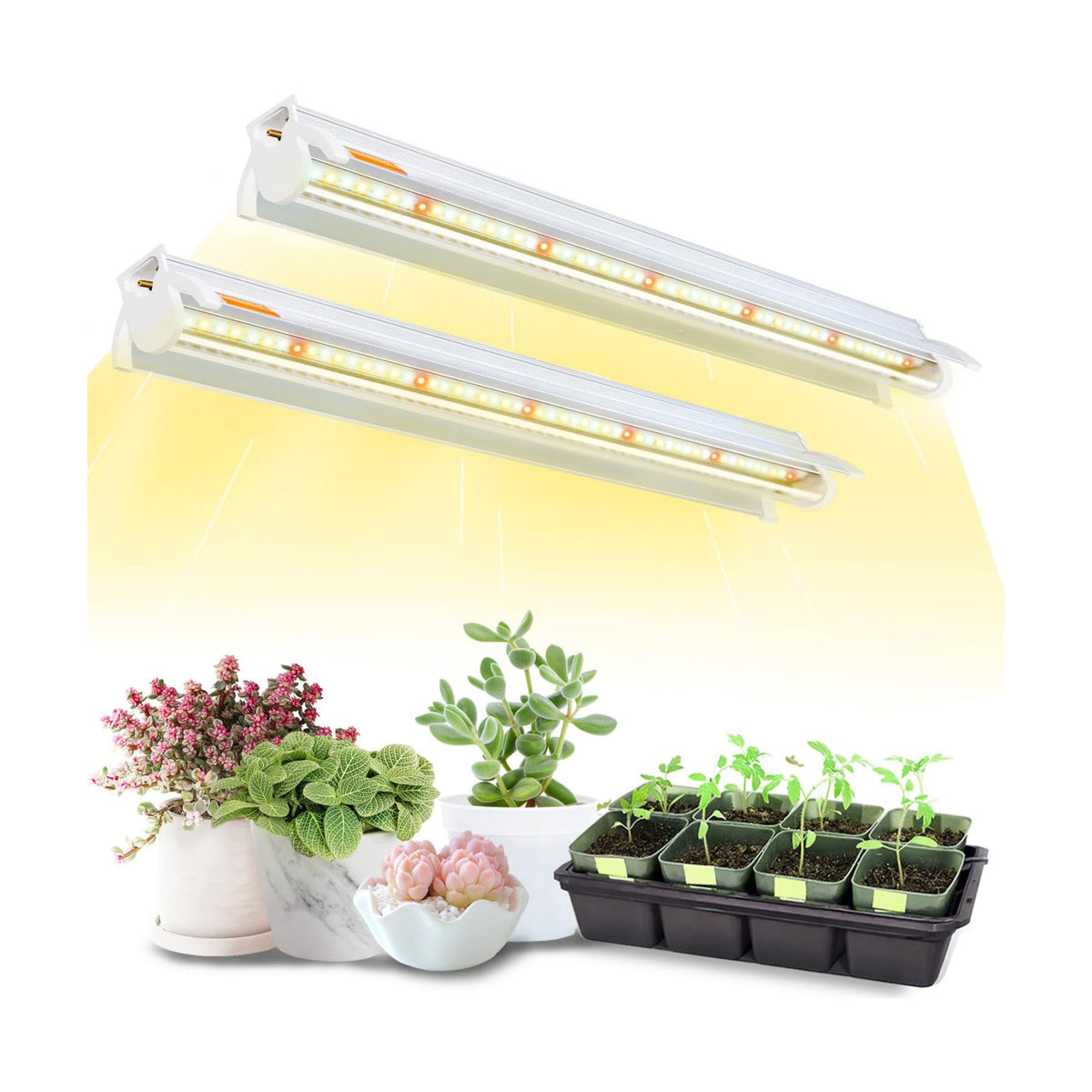 T5 Grow Lights for Seed Starting, 10W x2, Grow Lights for Indoor Plants