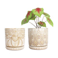 6 Inch Indoor Plant Pots with Drainage Holes and Saucers, Ceramic Planter for Plants, Flower Pot - Set of 2