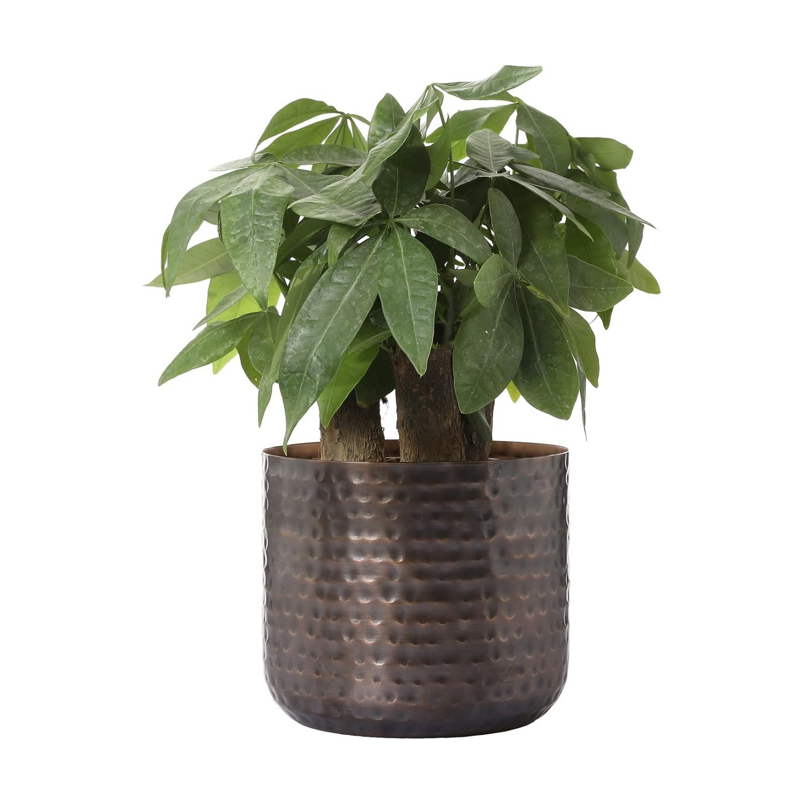MyGift 6 Inch Copper Metal Vase, Hammered Flower Pot, Handcrafted | Elegant hammered finish brings artisan character to