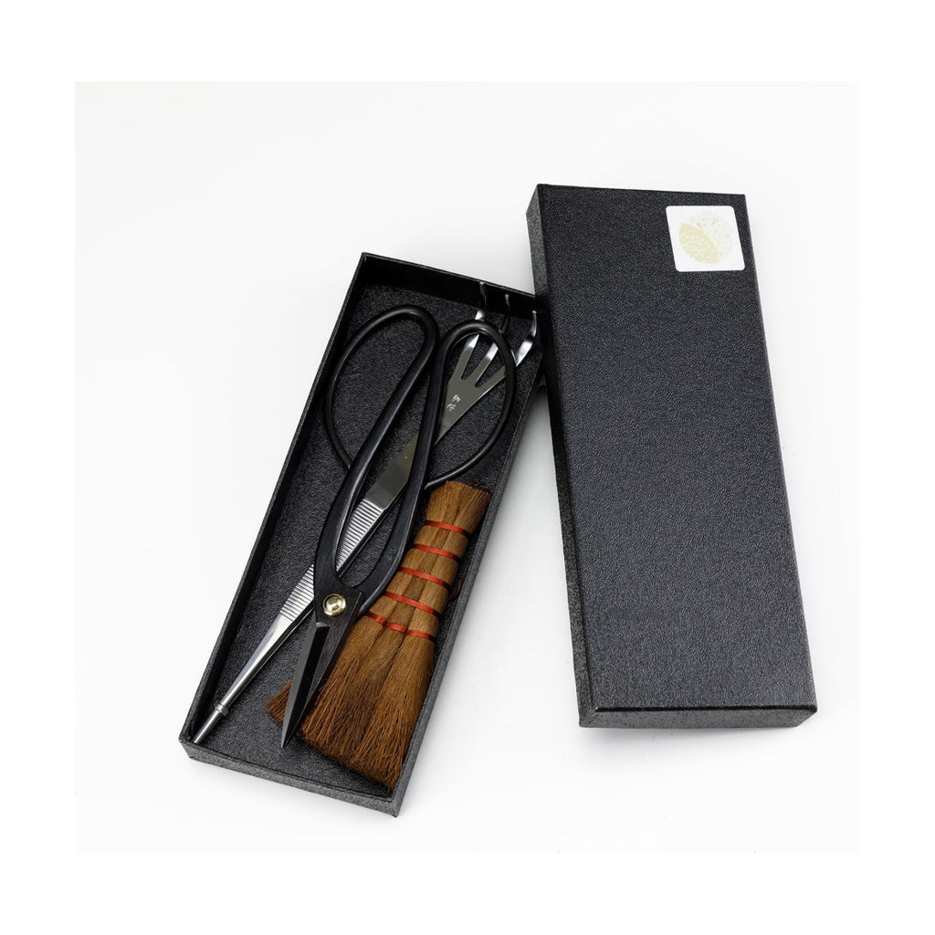 Wazakura Japanese Bonsai Garden 3PCS Tool Starter Kit, Made in Japan, Ashinaga Bonsai Scissors, Stainless Tweezers with