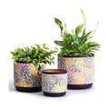DeeCoo 3 Piece Ceramic Plant pots with Drainage Holes, 5.7/4.7/3.5/inch, Modern Decorative Indoor/Outdoor Flower Pots