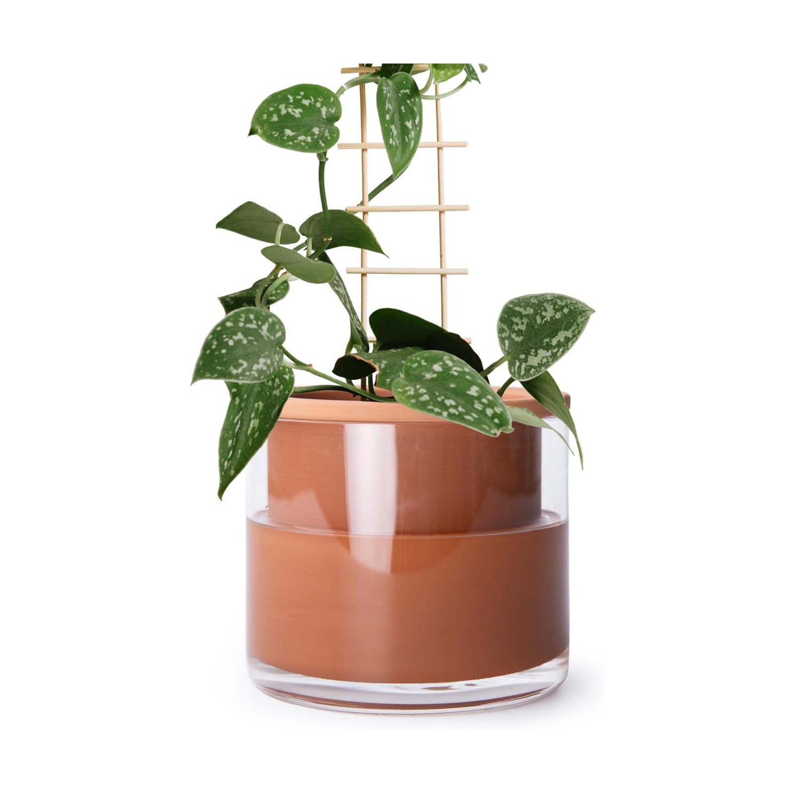 Phoenix Vine 6 Inch Self Watering Plants Pot, Design Terracotta Pot for Plants, Indoor Cylinder Terra Cotta Planter