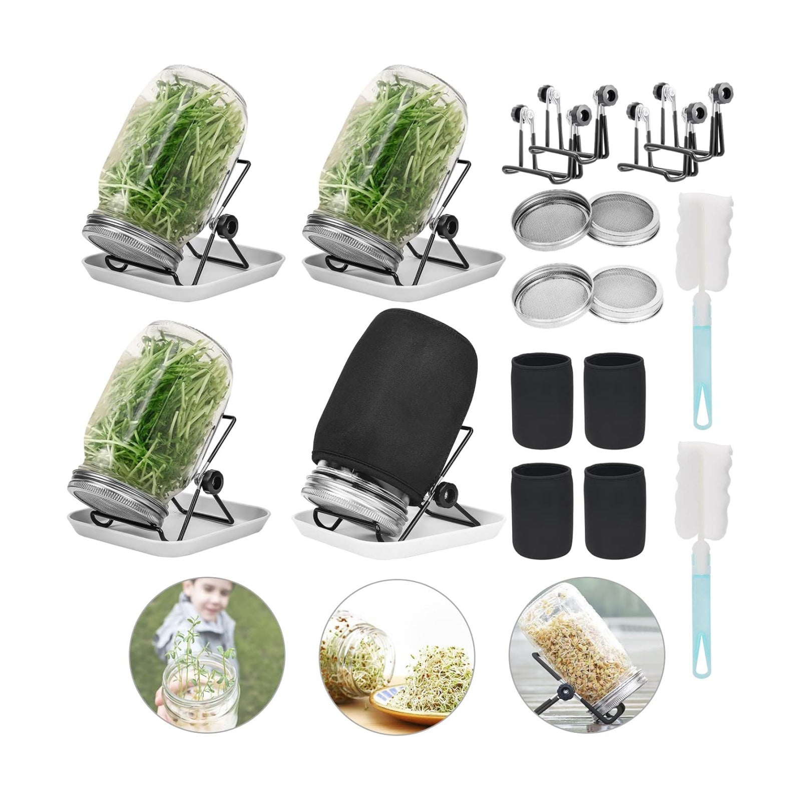 Lulonpon 4 Sprouting Jar Kit, Wide Mouth Quart Mason Jars with Stainless Steel Screen Sprout Lids