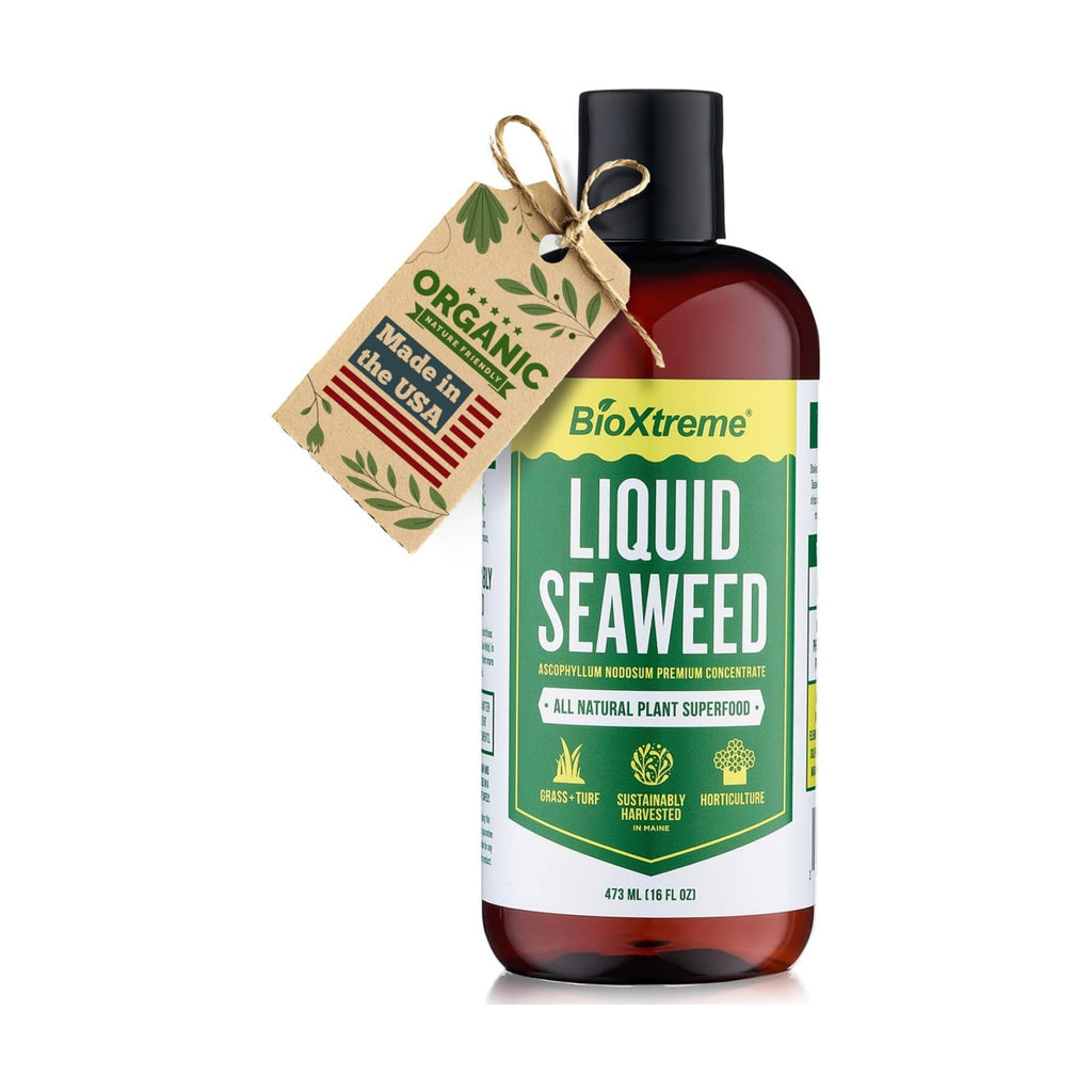 Liquid Seaweed Premium Concentrate – Undiluted Kelp Extract with No Fillers or Colorants – All Natural Fertilizer for