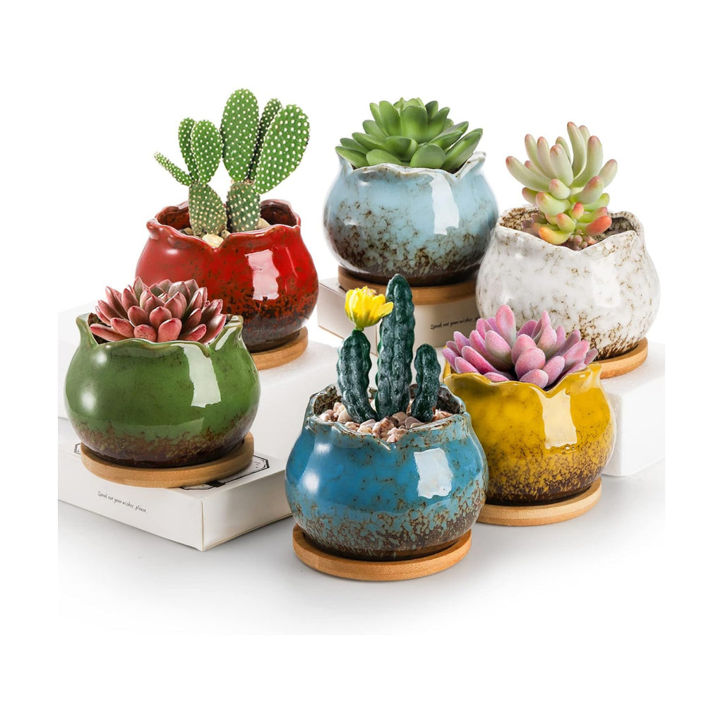 TOPZEA Set of 6 Succulent Plant Pots, 4 Inch Glazed Ceramic Pots with Drainage and Saucer, Mini Bonsai Planter Small