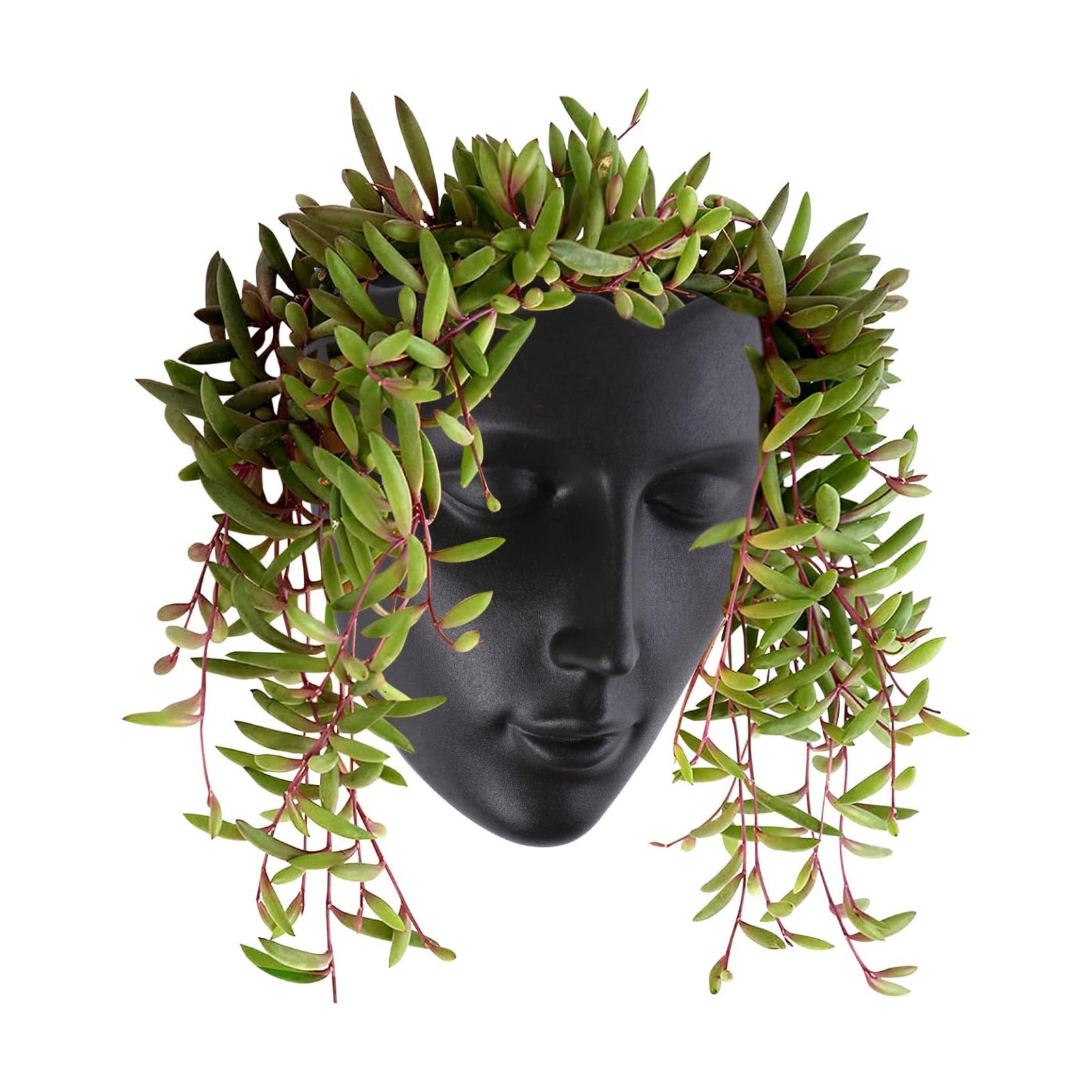 Notakia Face Planter Pot Wall Mounted Outdoor/Indoor Planter with Drainage for Succulents, Cactus, and Small Plants