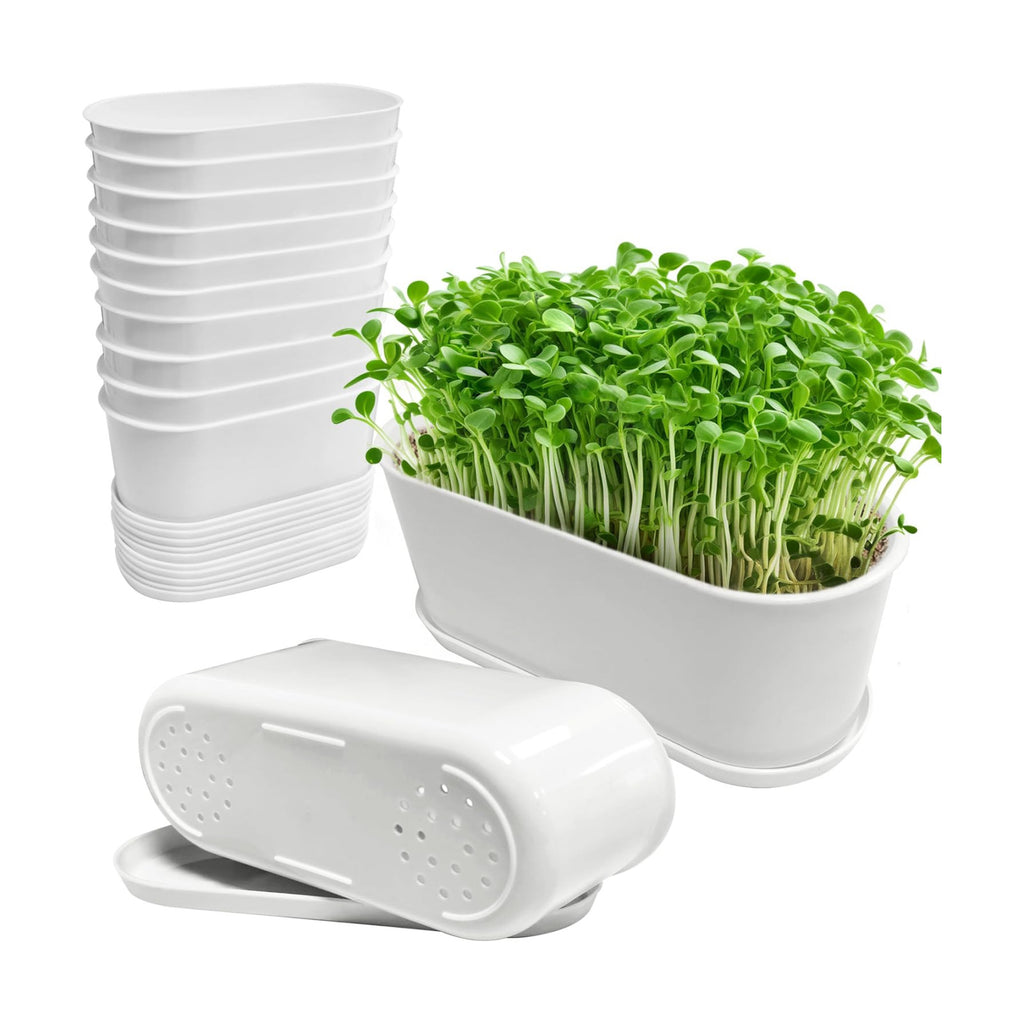 Window Box Planter with Saucers,10 Sets Rectangular Planter with Multiple Drainage Holes and Trays Plant Pots, for Succulent Cactus Flowers Vegetable