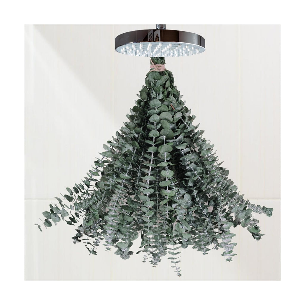 16 Pcs Dried Eucalyptus Stems for Shower Hanging, 17'' Real Fresh Plants