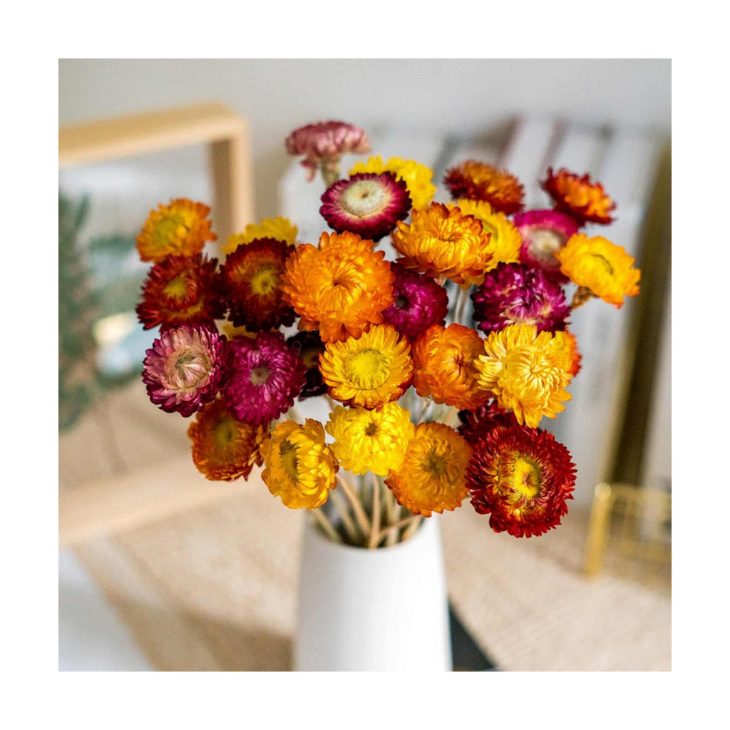20 Pcs Dried Daisy Flower Bouquet, 17" Multicolor Fall Flowers, Vase Filler