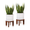 Gendral Forwepup 2 Pack Wood Plant Stand, Mid Century Modern Planter Stand Rattan Flower Pot Stand, Low Short Plant Stands Indoor - Boho Rustic Wooden Stool for Plant Pot Holder, Fit 5-15 Inch Pot