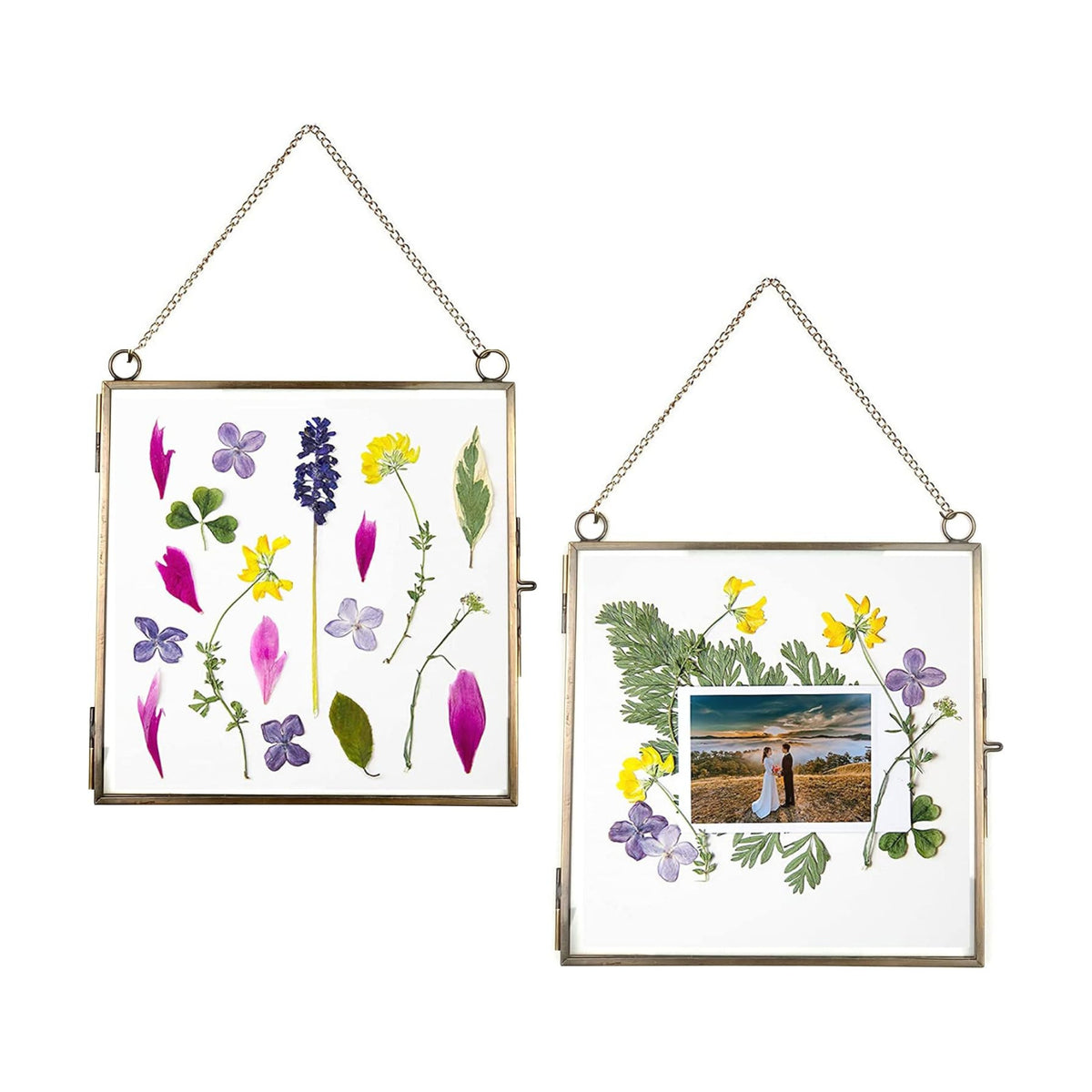 Beedecor Glass Frame for Pressed Flowers, Leaf and Artwork - Hanging Square Metal Picture Frames, Clear Double Glass Floating Frame, Wall Decor Photo Display, Set of 2 Flower Press Frames with Chain
