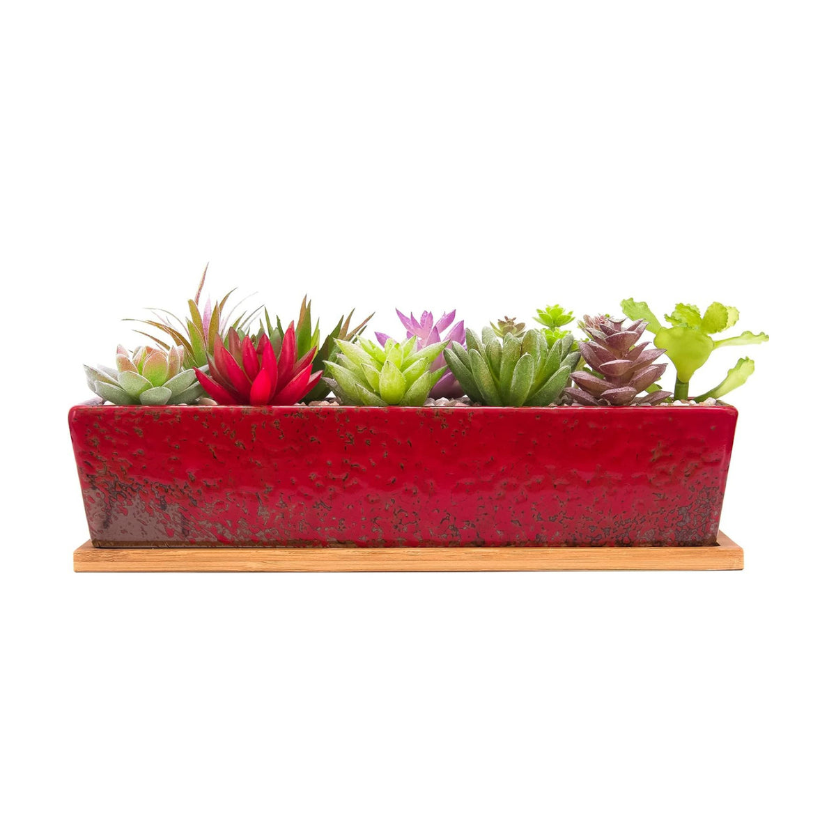 Succulent Pots - 12.1 Inch Large Succulent Planters with Drainage Tray