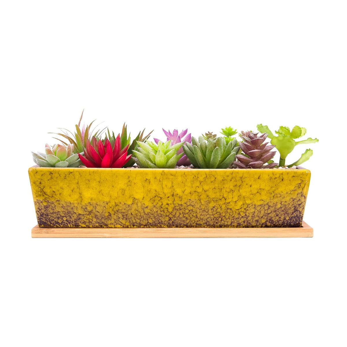 Succulent Pots - 12.1 Inch Large Succulent Planters Pots with Drainage Tray