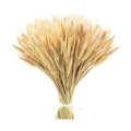 Uieke 17.7 Inches Dried Wheat Stalks, 400 Stems Dried Flowers 100% Natural Wheat for Home Kitchen Wedding Party Table Centerpiece Harvest Wreath Boho Farmhouse DIY Decoration