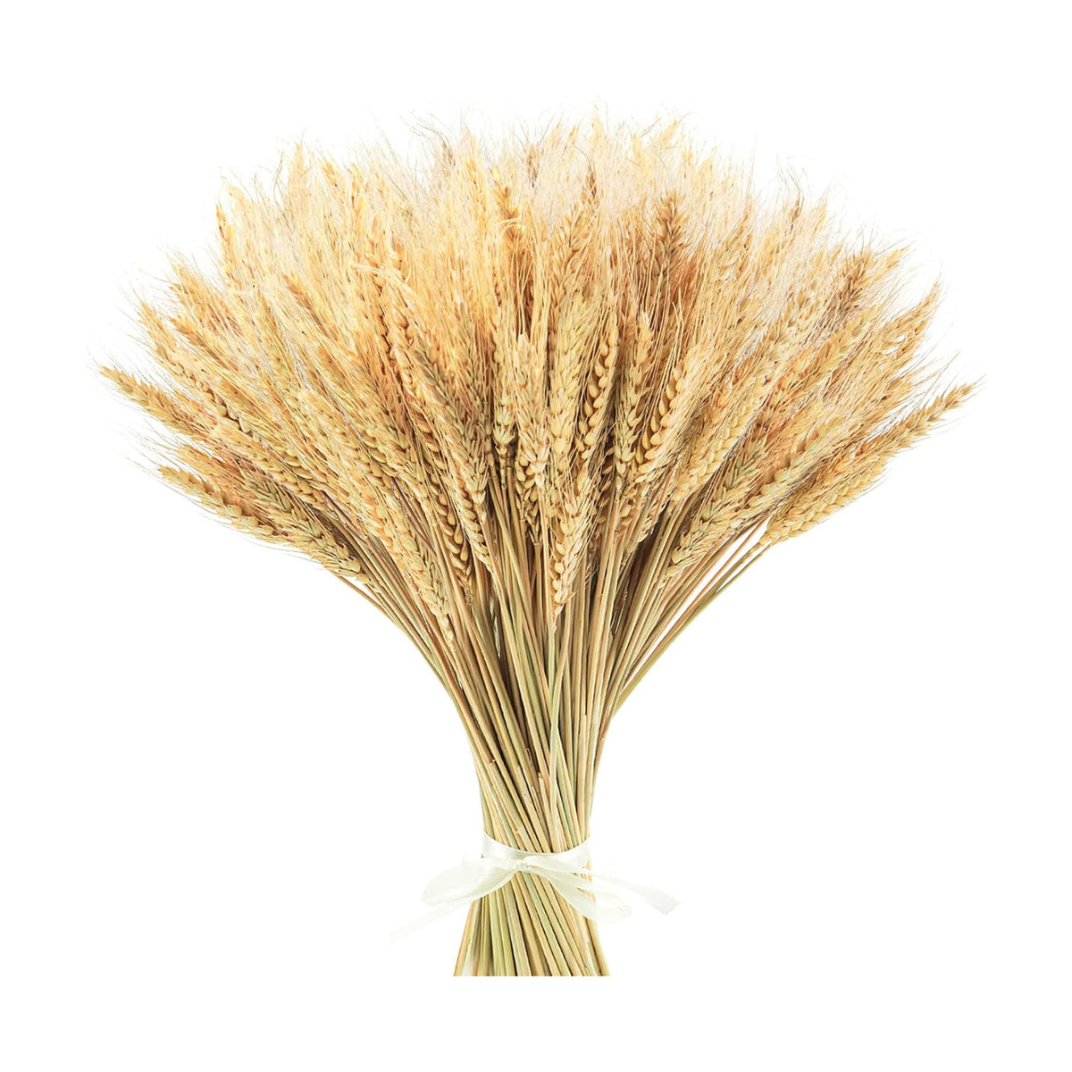 Uieke 17.7 Inches Dried Wheat Stalks, 400 Stems Dried Flowers 100% Natural Wheat for Home Kitchen Wedding Party Table Centerpiece Harvest Wreath Boho Farmhouse DIY Decoration