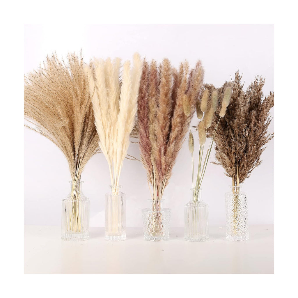 N&T NETING Dried Pampas Grass Boho Set for Crafts Centerpiece, 75Pcs
