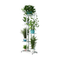 LINZINAR Plant Stand Metal 5 Tier 6 Potted Multiple Flower Pot Holder Shelf Indoor Outdoor Planter Display Shelving