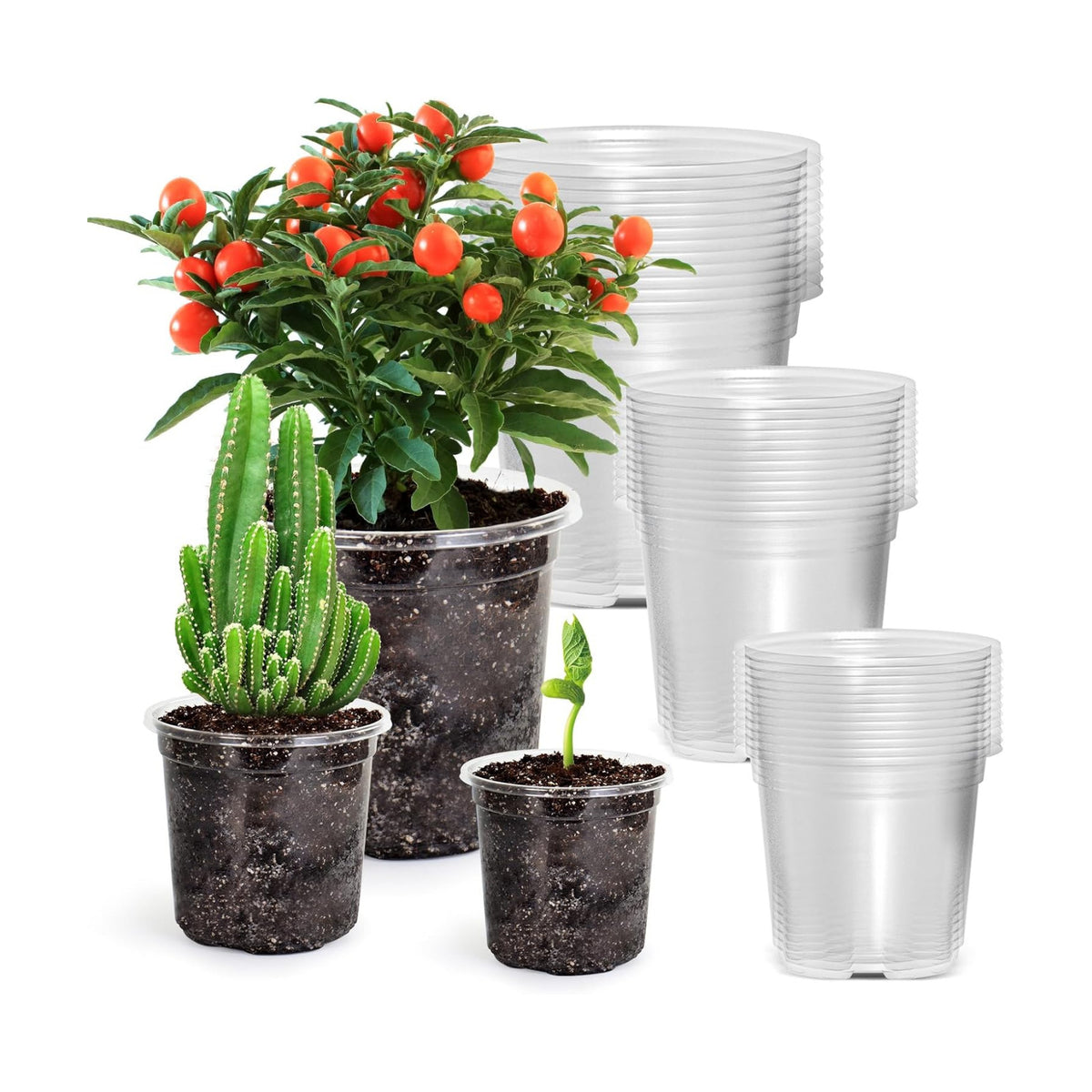 Bluepro Clear Nursery Pots with Drainage Holes, 3.5/4/5 Inch, 36-Pack