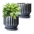 Plant Pots 6 inch Ceramic Pots for Indoor Plants Set of 2 Flower Pots Unique Crackle Glaze Design Plant Pots with